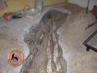 Foundation Damage Contractor Arizona - Concrete Repairman